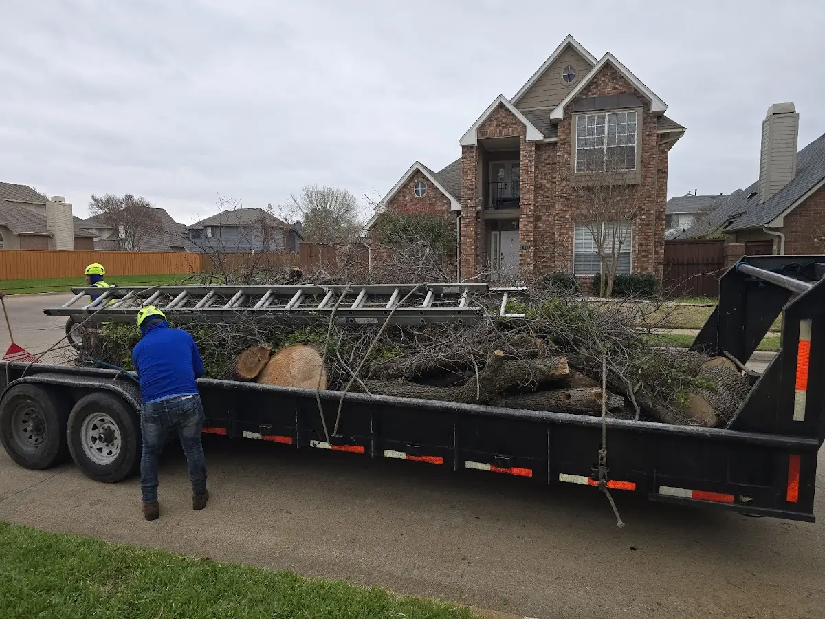 Expert Tree Pest Control with proper safety equipment in La Belle